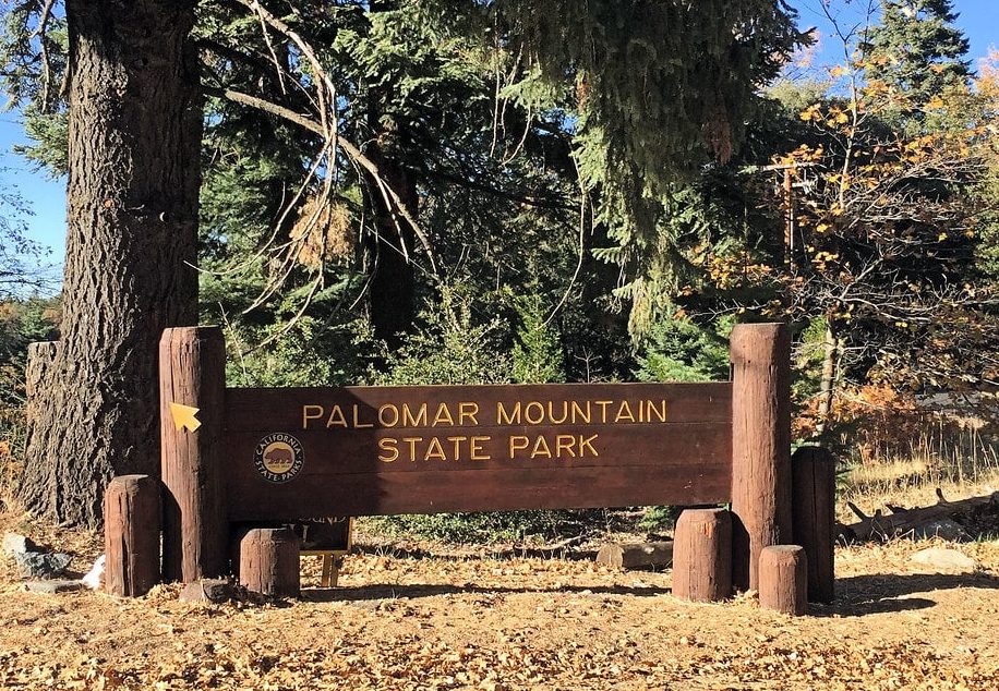 Palomar Mountain Camping Guide